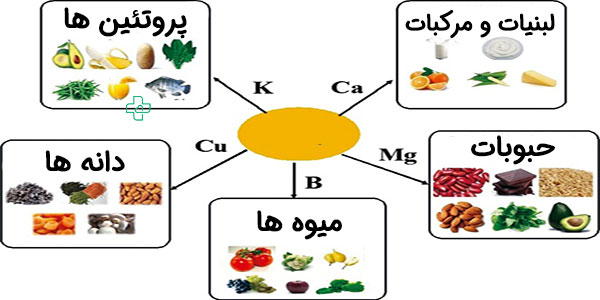 برای درمان پوکی استخوان چه بخوریم؟