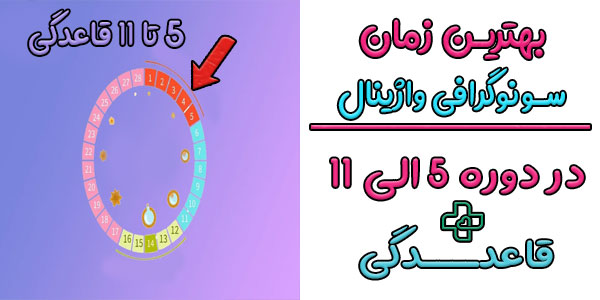 بهترین زمان برای سونوگرافی واژینال چه تایمی است؟