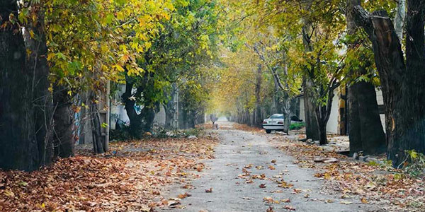تزریقات در منزل شهریار شبانه روزی