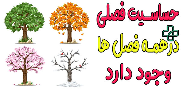حساسیت فصلی در چه فصل هایی بیشتر رخ می دهد؟