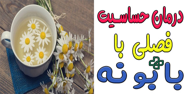 درمان حساسیت فصلی با بابونه
