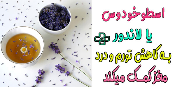 درمان سردرد با دمنوش اسطوخودوس