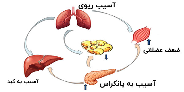 عوارض دیابت در سالمندان به چه صورتی است؟