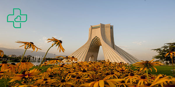 فیزیوتراپی لگن در منزل تهران 