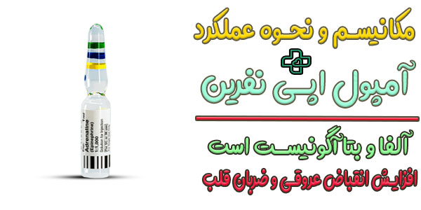 مکانیسم و نحوه عملکرد آمپول آدرنالین (اپی نفرین) به چه صورتی است؟
