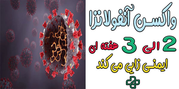 ایمنی زایی واکسن آنفولانزا چقدر طول می کشد؟