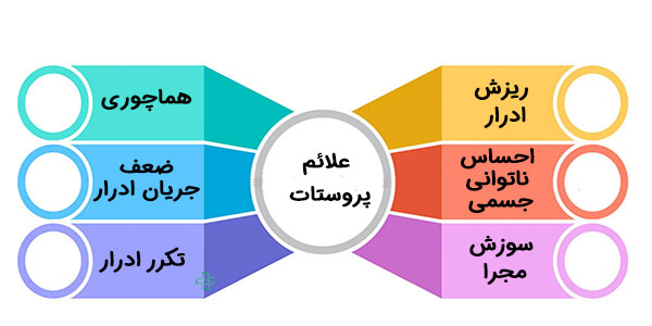 7 علائم پروستات در مردان سالمند چیست؟